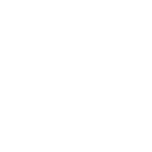 Toggle Password